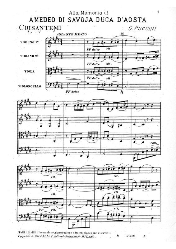 Crisantemi, SC 65