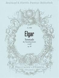 Serenade for String Orchestra, Op.20